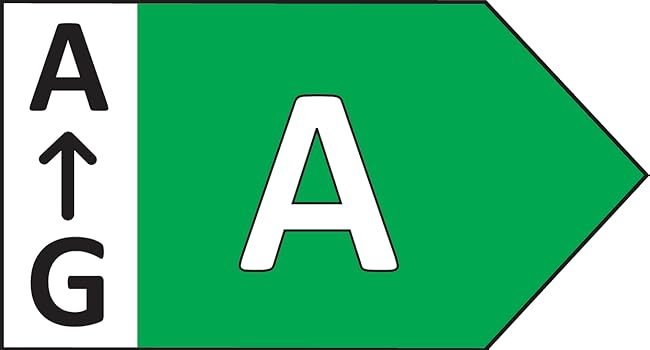 Pasted Image